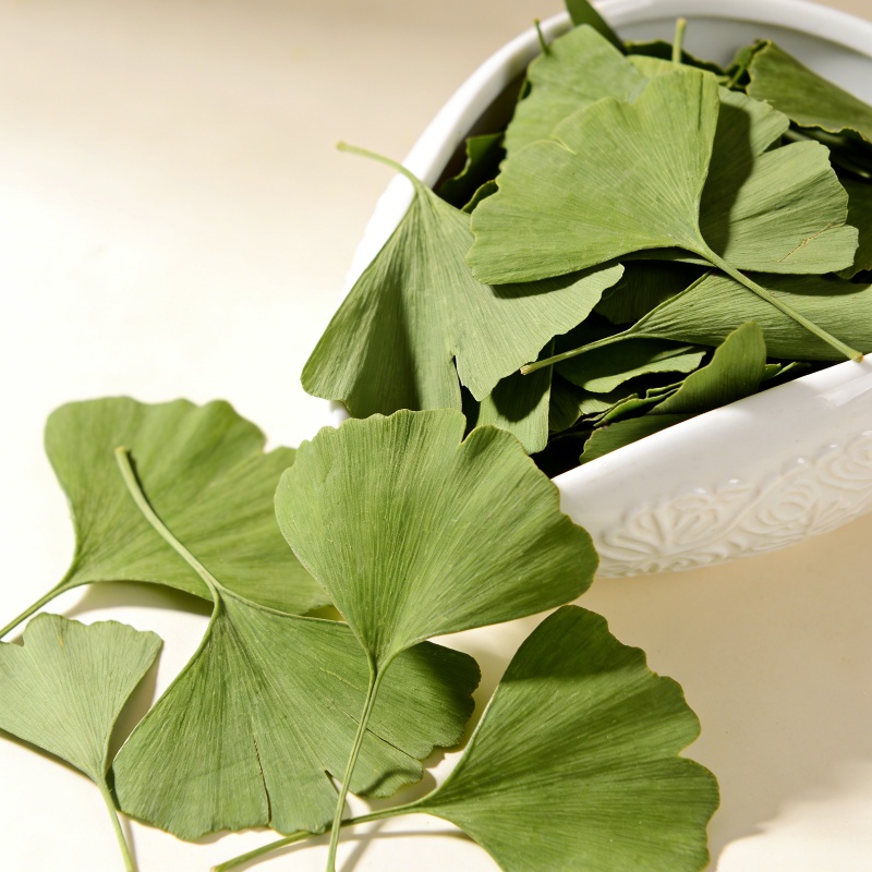 Quality Home Fragrance - Folhas Secas de Ginkgo Biloba de